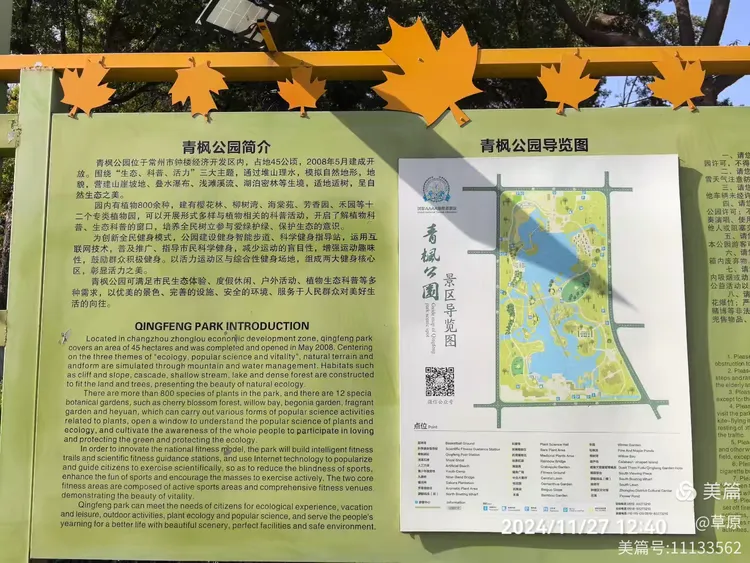 水上森林,迪诺水镇游记!